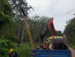Melalui Uprating Penyulang Tenggiri, PLN ULP Kayu Agung Tingkatkan Keandalan Listrik di Tulung Selapan