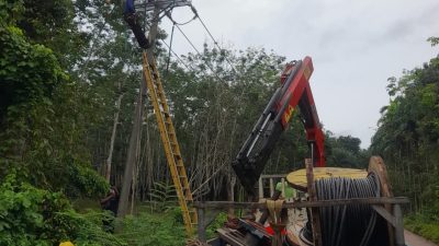 Melalui Uprating Penyulang Tenggiri, PLN ULP Kayu Agung Tingkatkan Keandalan Listrik di Tulung Selapan