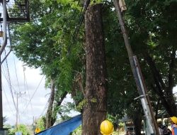PLN ULP Lembayung Sinergi Untuk Menjaga Listrik Tetap Menyala