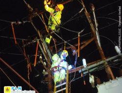 Disertai Hujan Deras, PLN ULP Lembayung Berjibaku Pulihkan Kondisi Kelistrikan 