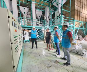 Konsumsi Listrik Nasional Tumbuh, PLN Catat Penjualan 317,69 TWh di 2025