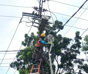Amankan Jaringan Listrik dari Potensi Gangguan Satwa, Ini Strategi Preventif PLN Bengkulu ?