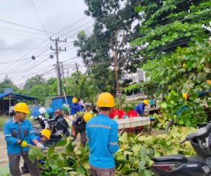 Pemda Merangin dan PLN Bangko Sinergi Bersihkan Kota, Jaga Lingkungan Sekaligus Keandalan Listrik