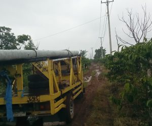Wujudkan Mimpi Listrik Desa Yang Merdeka, PLN Jemput Fajar di Pelosok OKU Selatan 