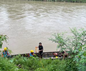 Aksi Heroik PLN ULP Muara Enim Pulihkan Jaringan SUTM di Sungai Tanjung Enim 