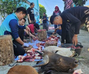 PLN UP3 Lahat Tebar Berkah 630 Paket Daging Qurban di Hari Raya Idul Adha 1447 H
