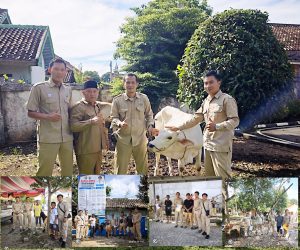 CSR PLTU Baturaja Kembali Salurkan Hewan Qurban Sapi dan Kambing Ke 3 Desa, 3 Kelurahan, dan Pemkab OKU