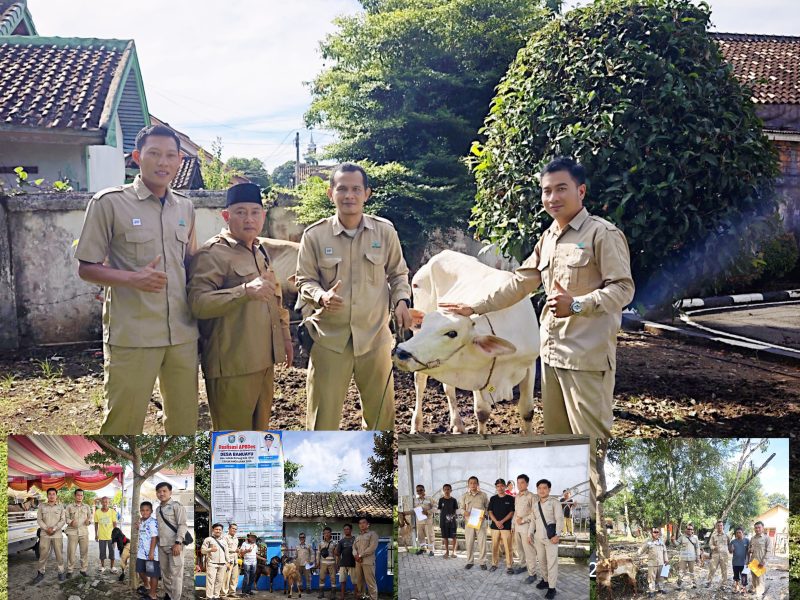 CSR PLTU Baturaja Kembali Salurkan Hewan Qurban Sapi dan Kambing Ke 3 Desa, 3 Kelurahan, dan Pemkab OKU