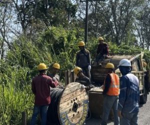 PLN ULP Lembayung Lakukan Peremajaan Konstruksi Jaringan di Pulau Pinang Lahat