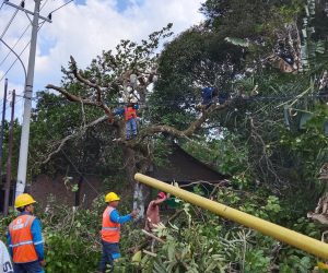 Bersama Warga, PLN ULP Muara Dua UP3 Lahat Bersihkan Jaringan Distribusi