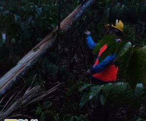 PLN ULP Lembayung Berjibaku Pulihkan Kondisi kelistrikan pelanggan
