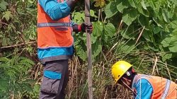 PLN ULP Muaradua Tanggulangi Gangguan Pasokan Listrik, Bersihkan Jaringan Dari Ranting Pohon
