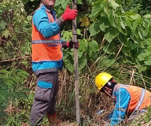 PLN ULP Muaradua Tanggulangi Gangguan Pasokan Listrik, Bersihkan Jaringan Dari Ranting Pohon